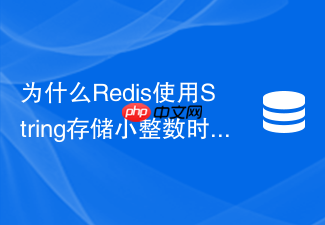 为什么redis使用string存储小整数时内存开销反而很大