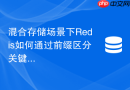 混合存储场景下redis如何通过前缀区分关键数据防淘汰