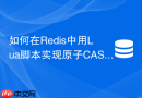 如何在Redis中用Lua脚本实现原子CAS并发更新？