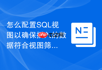 怎么配置sql视图以确保插入的数据符合视图筛选条件?