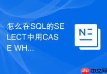 怎么在SQL的SELECT中用CASE WHEN进行条件分支？