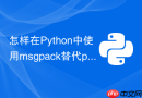 怎样在Python中使用msgpack替代pickle提升传输速度？