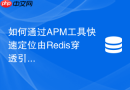 如何通过APM工具快速定位由Redis穿透引发的性能瓶颈？