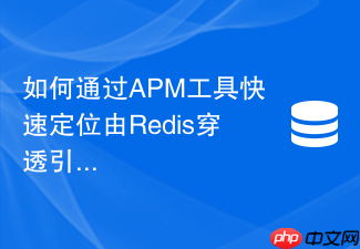 如何通过apm工具快速定位由redis穿透引发的性能瓶颈?