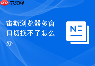 宙斯浏览器多窗口切换不了怎么办
