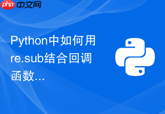 python中如何用re.sub结合回调函数实现动态替换?
