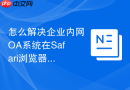 怎么解决企业内网oa系统在safari浏览器中验证码无法加载的问题?