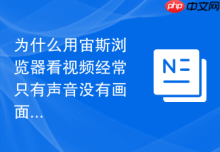 为什么用宙斯浏览器看视频经常只有声音没有画面？