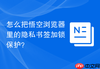 怎么把悟空浏览器里的隐私书签加锁保护?