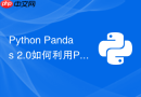 Python Pandas 2.0如何利用PyArrow加速CSV读取？