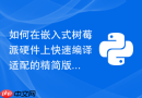 如何在嵌入式树莓派硬件上快速编译适配的精简版python运行环境?
