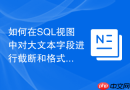 如何在sql视图中对大文本字段进行截断和格式化?