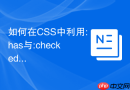 如何在css中利用:has与:checked选择器实现纯css主题切换逻辑？