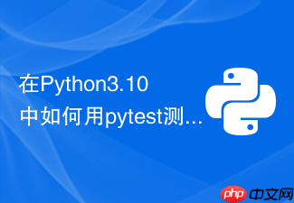 在python3.10中如何用pytest测试grpc服务接口
