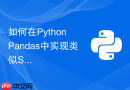 如何在python pandas中实现类似sql的窗口排序函数rank?
