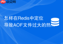 怎样在Redis中定位导致AOF文件过大的热点Key