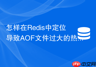 怎样在redis中定位导致aof文件过大的热点key