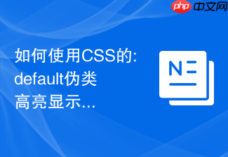 如何使用css的:default伪类高亮显示表单中的默认推荐选项?