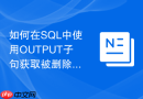 如何在SQL中使用OUTPUT子句获取被删除的数据