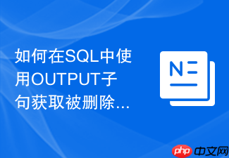 如何在sql中使用output子句获取被删除的数据