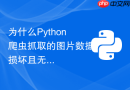 为什么python爬虫抓取的图片数据损坏且无法打开?
