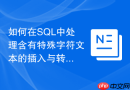 如何在sql中处理含有特殊字符文本的插入与转义
