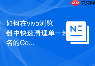 如何在vivo浏览器中快速清理单一域名的cookie数据?