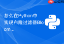 怎么在python中实现布隆过滤器bloom filter防止缓存穿透
