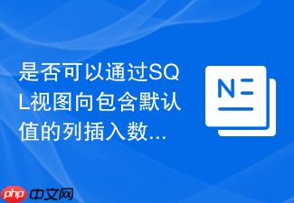 是否可以通过sql视图向包含默认值的列插入数据?