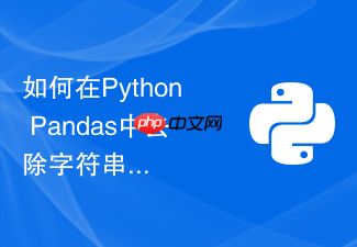 如何在python pandas中去除字符串列前后的不可见空格？