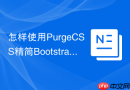 怎样使用purgecss精简bootstrap 5中未引用的css代码