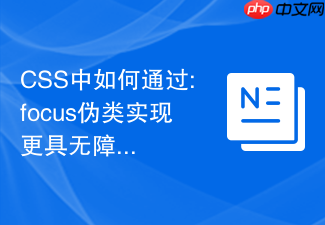 css中如何通过:focus伪类实现更具无障碍可达性的网页表单?