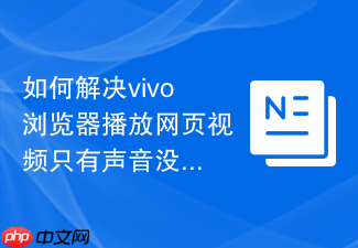 如何解决vivo浏览器播放网页视频只有声音没有画面的故障?