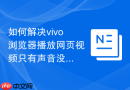 如何解决vivo浏览器播放网页视频只有声音没有画面的故障?