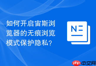 如何开启宙斯浏览器的无痕浏览模式保护隐私?