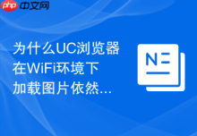 为什么UC浏览器在WiFi环境下加载图片依然非常缓慢