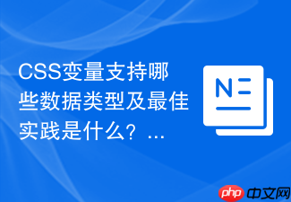 css变量支持哪些数据类型及最佳实践是什么?