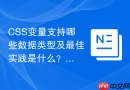 css变量支持哪些数据类型及最佳实践是什么?