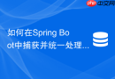 如何在Spring Boot中捕获并统一处理Redis连接异常和读写异常