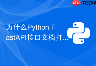 为什么python fastapi接口文档打不开