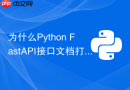 为什么Python FastAPI接口文档打不开