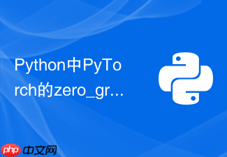 python中pytorch的zero_grad位置放错会导致什么严重后果?