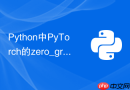 Python中PyTorch的zero_grad位置放错会导致什么严重后果？