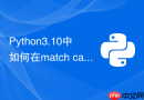 python3.10中如何在match case语句中使用guard条件守卫?