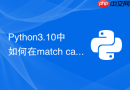 Python3.10中如何在match case语句中使用guard条件守卫？