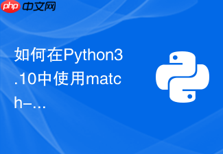 如何在python3.10中使用match-case匹配自定义类对象