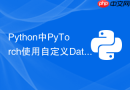 Python中PyTorch使用自定义Dataset时getitem如何做高效缓存？