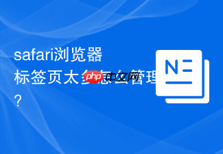safari浏览器标签页太多怎么管理?
