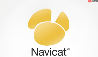 如何在navicat中设置无符号整型数值字段