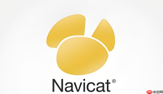 怎样在navicat 16 sql编辑器中利用代码片段提升编写效率